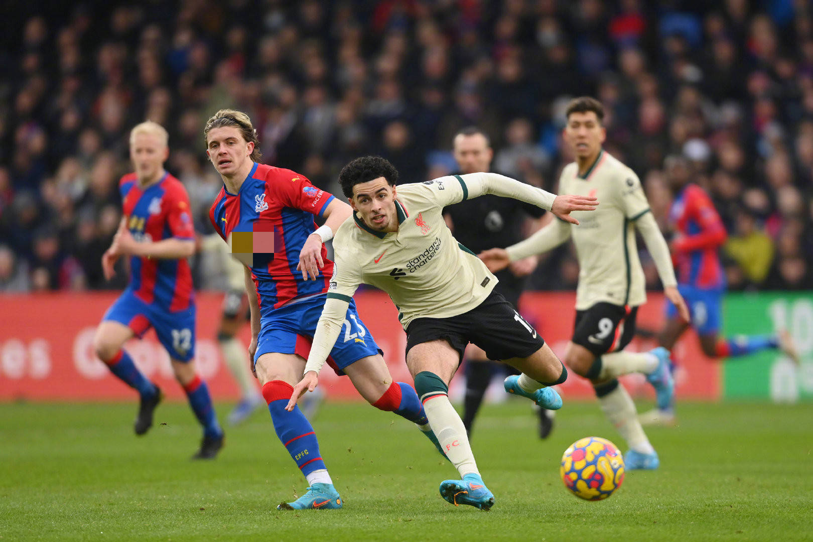 浦策略背后 浦策略背后